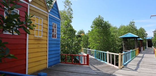 Eksplorasi Keindahan Alam Taman Wisata Mangrove Klawalu Sorong